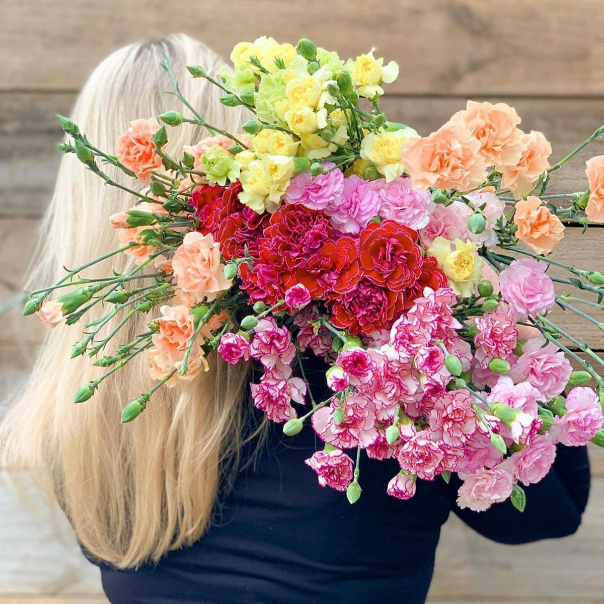 Multi Mix Mini Carnations Seeds - Dianthus Seeds, 30 seeds