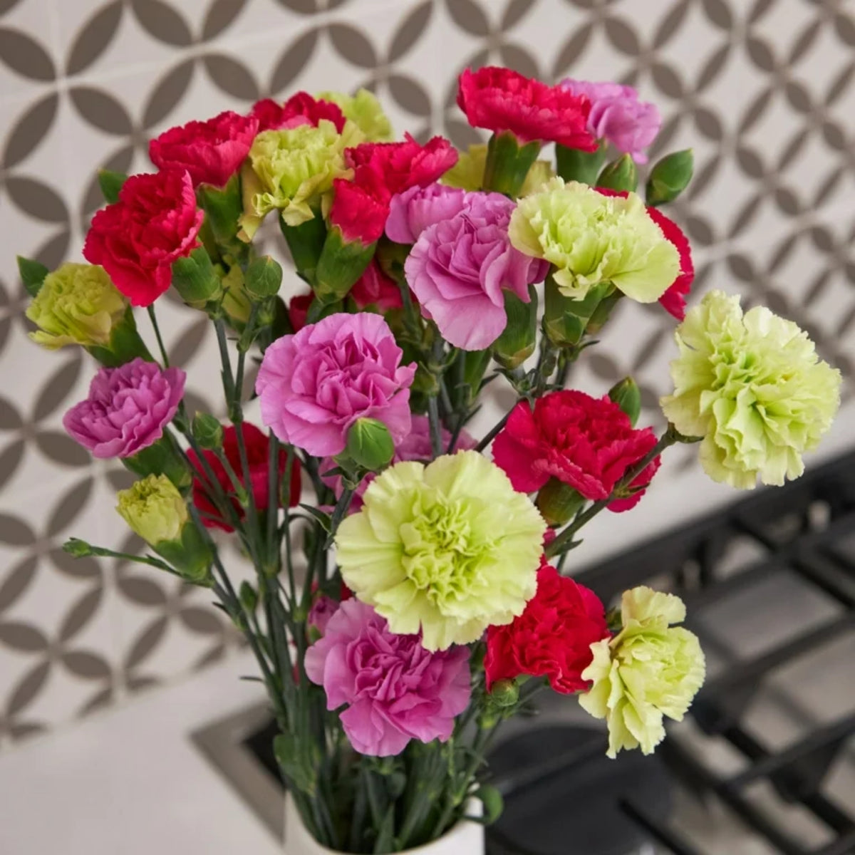 Multi Mix Mini Carnations Seeds - Dianthus Seeds, 30 seeds