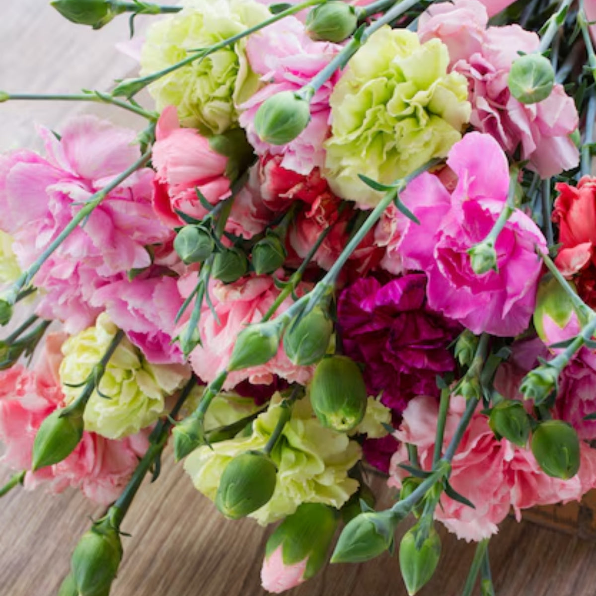 Mixed Mini Carnations Seeds - Dianthus Seeds, 30 seeds