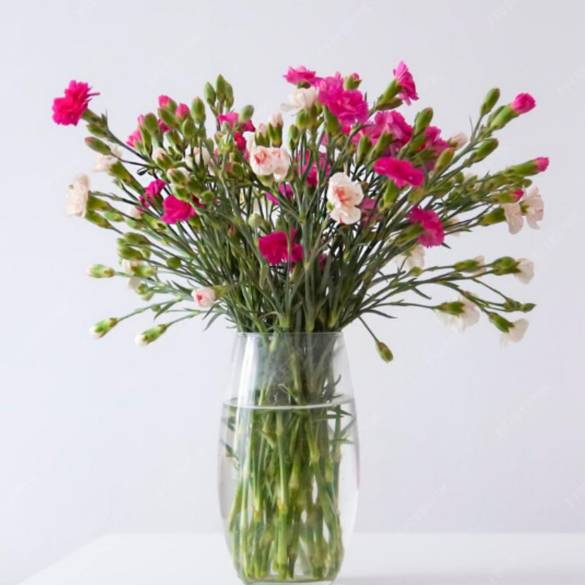 Mixed Mini Carnations Seeds - Dianthus Seeds, 30 seeds