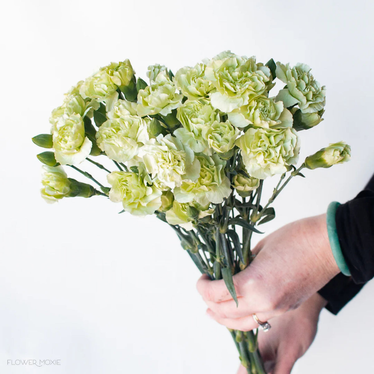 Green Mini Carnations Seeds - Dianthus Seeds, 30 seeds