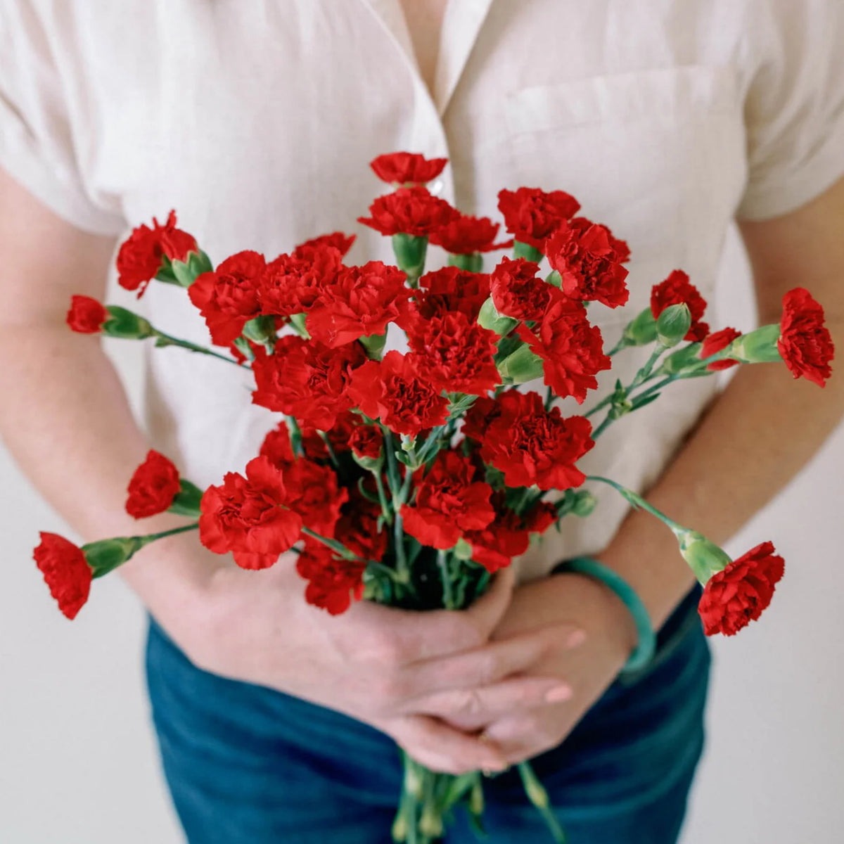 Red Mini Carnations Seeds - Dianthus Seeds, 30 seeds