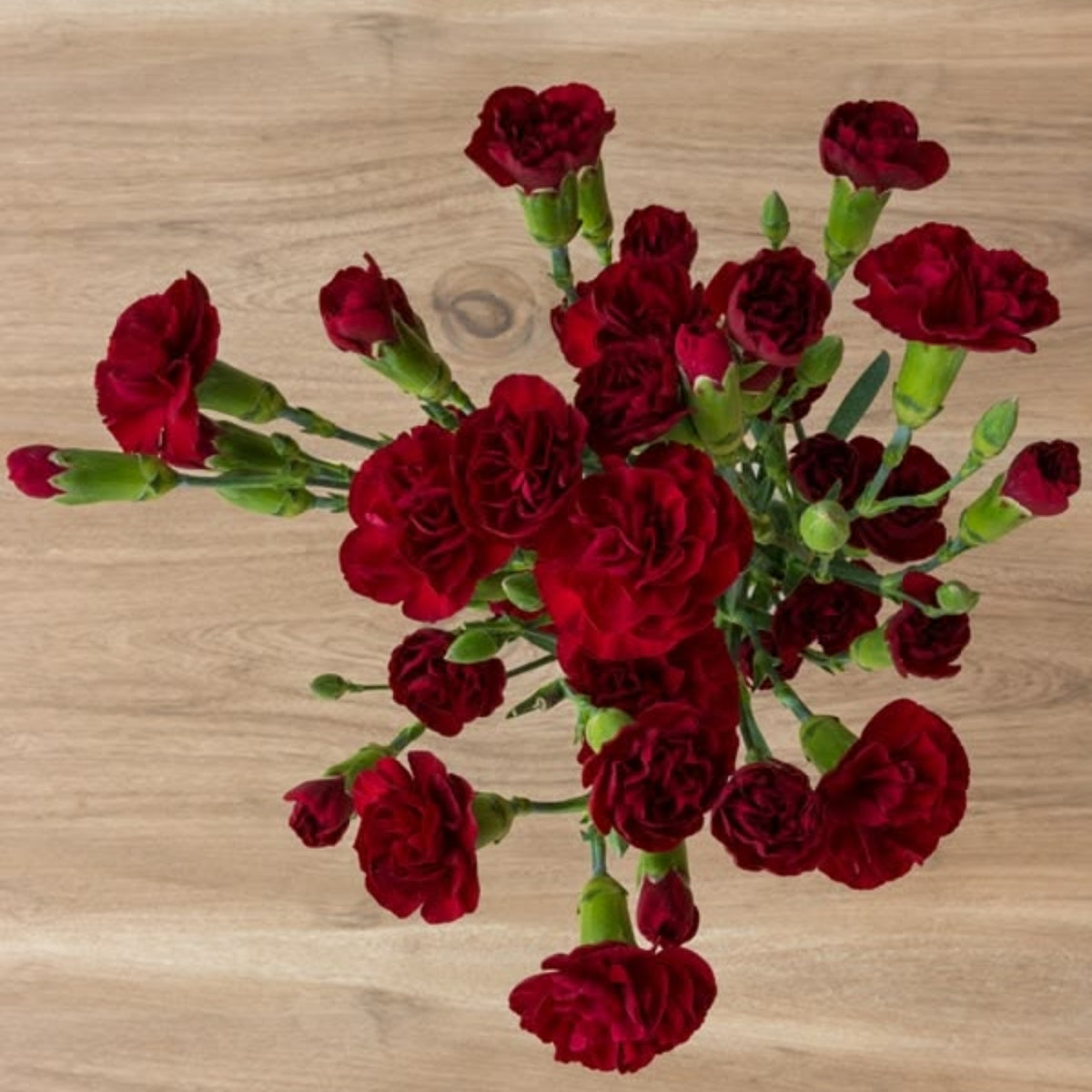 Red Mini Carnations Seeds - Dianthus Seeds, 30 seeds