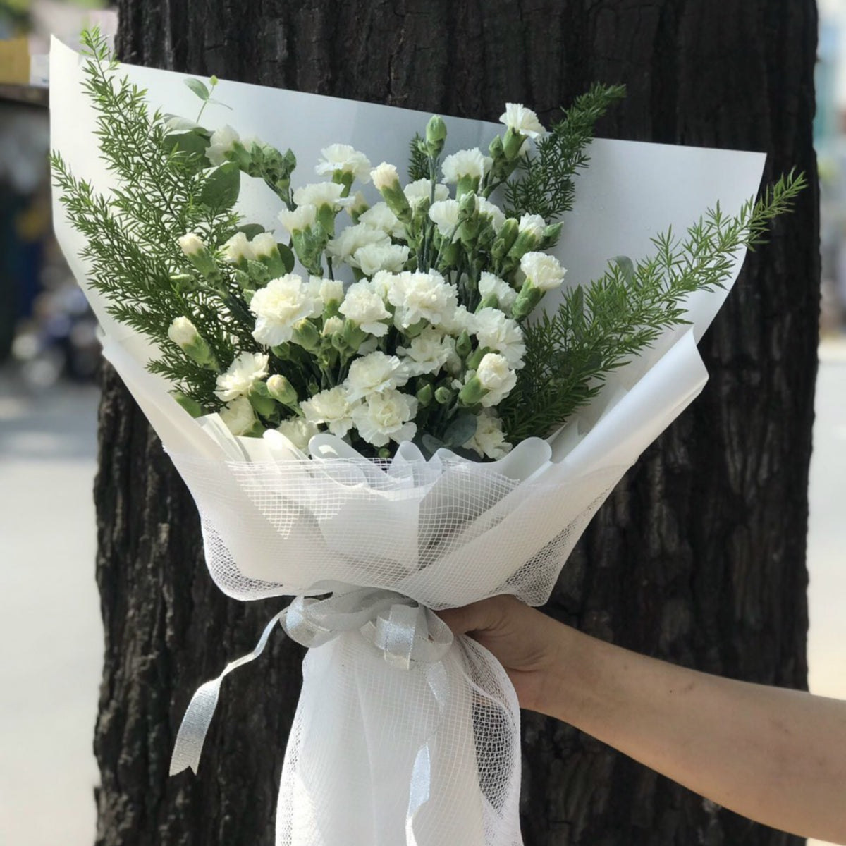 White Mini Carnations Seeds - Dianthus Seeds, 30 seeds