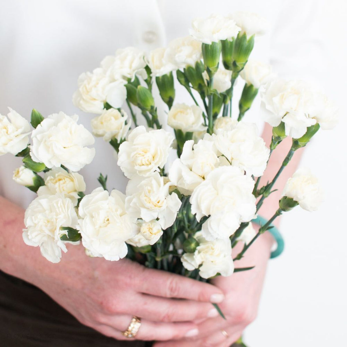 White Mini Carnations Seeds - Dianthus Seeds, 30 seeds