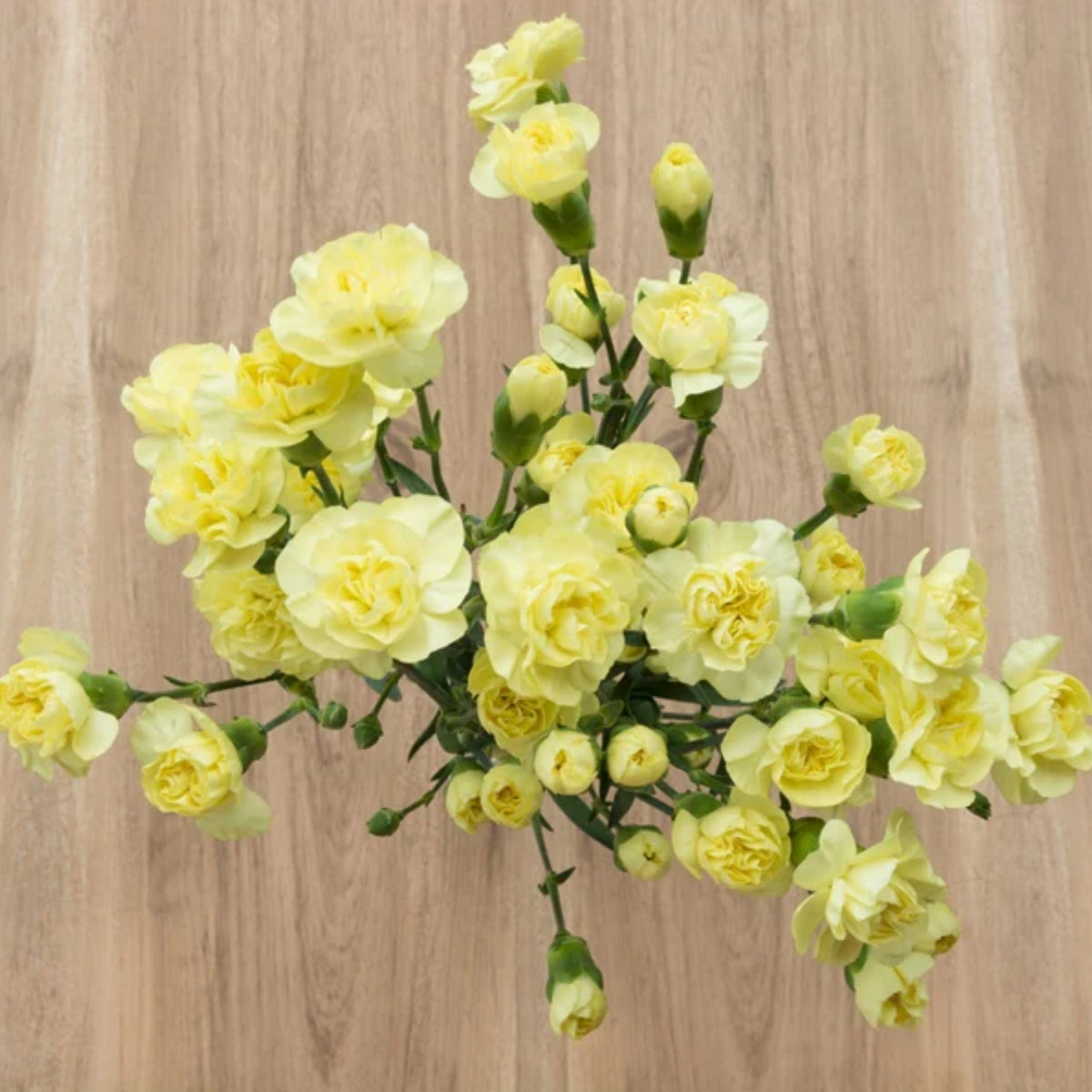 Yellow Mini Carnations Seeds - Dianthus Seeds, 30 seeds