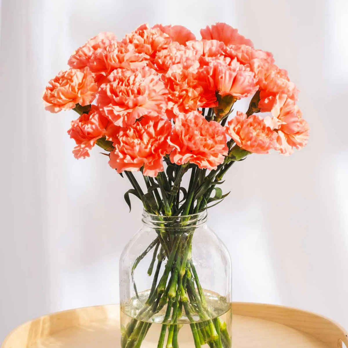 Orange Carnations Seeds - Dianthus Seeds, 30 seeds