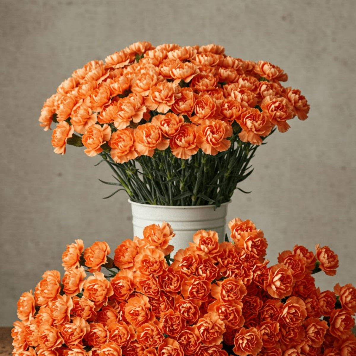 Orange Carnations Seeds - Dianthus Seeds, 30 seeds