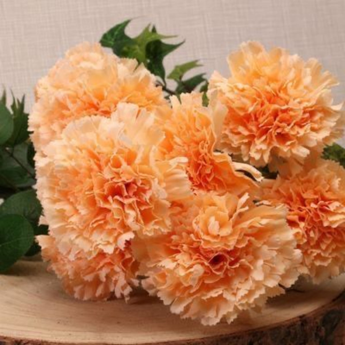 Orange Carnations Seeds - Dianthus Seeds, 30 seeds