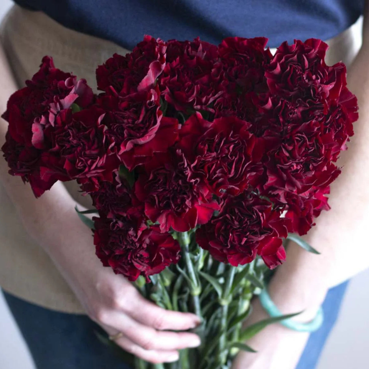 Dark Red Burgundy Carnations Seeds - Dianthus Seeds, 30 seeds