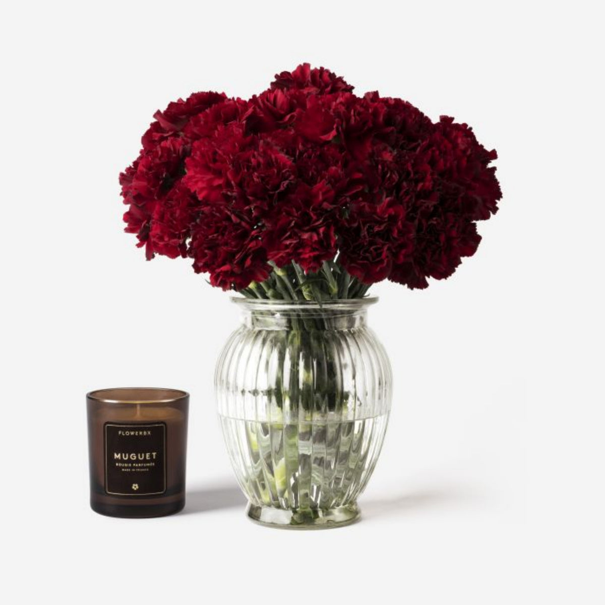 Dark Red Burgundy Carnations Seeds - Dianthus Seeds, 30 seeds