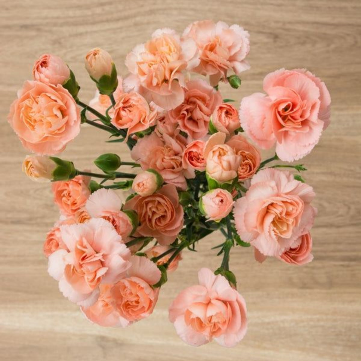 Peach Carnations Seeds - Dianthus Seeds, 30 seeds