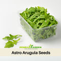 50s| Astro Arugula Seeds - Authentic - Open-Pollinated - Asian Garden~ Organic - Heirloom - Vegetable Seeds - #8001