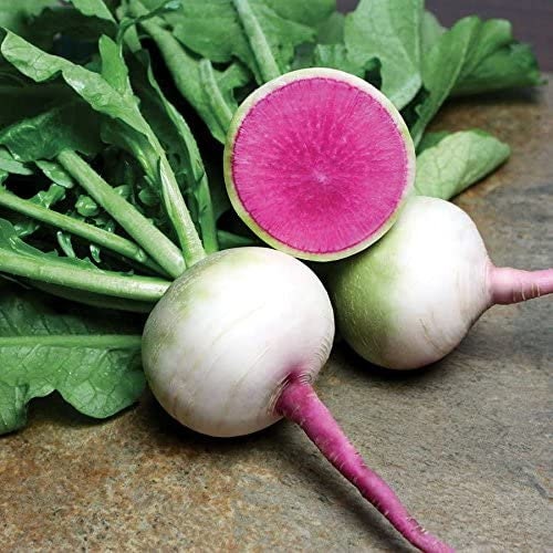 Radish Watermelon seeds