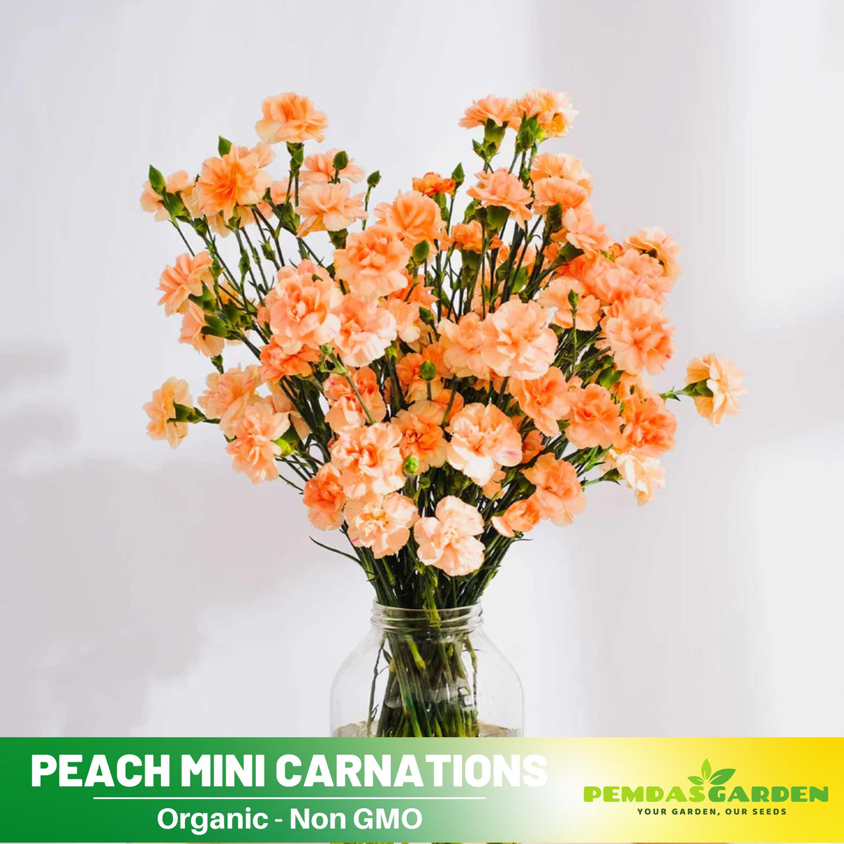 miniature flower seeds 30 Peach Mini Carnations - Authentic - Open-Pollinated - Organic - Heirloom - Flower Seeds - Mix Seeds to Plant