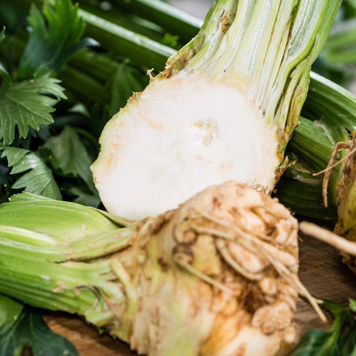 Giant Prague Celeriac seeds