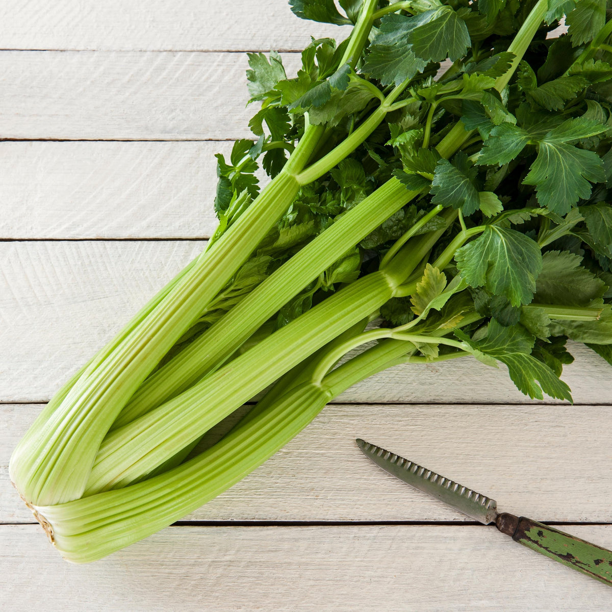Golden Self Blanching Celery seeds