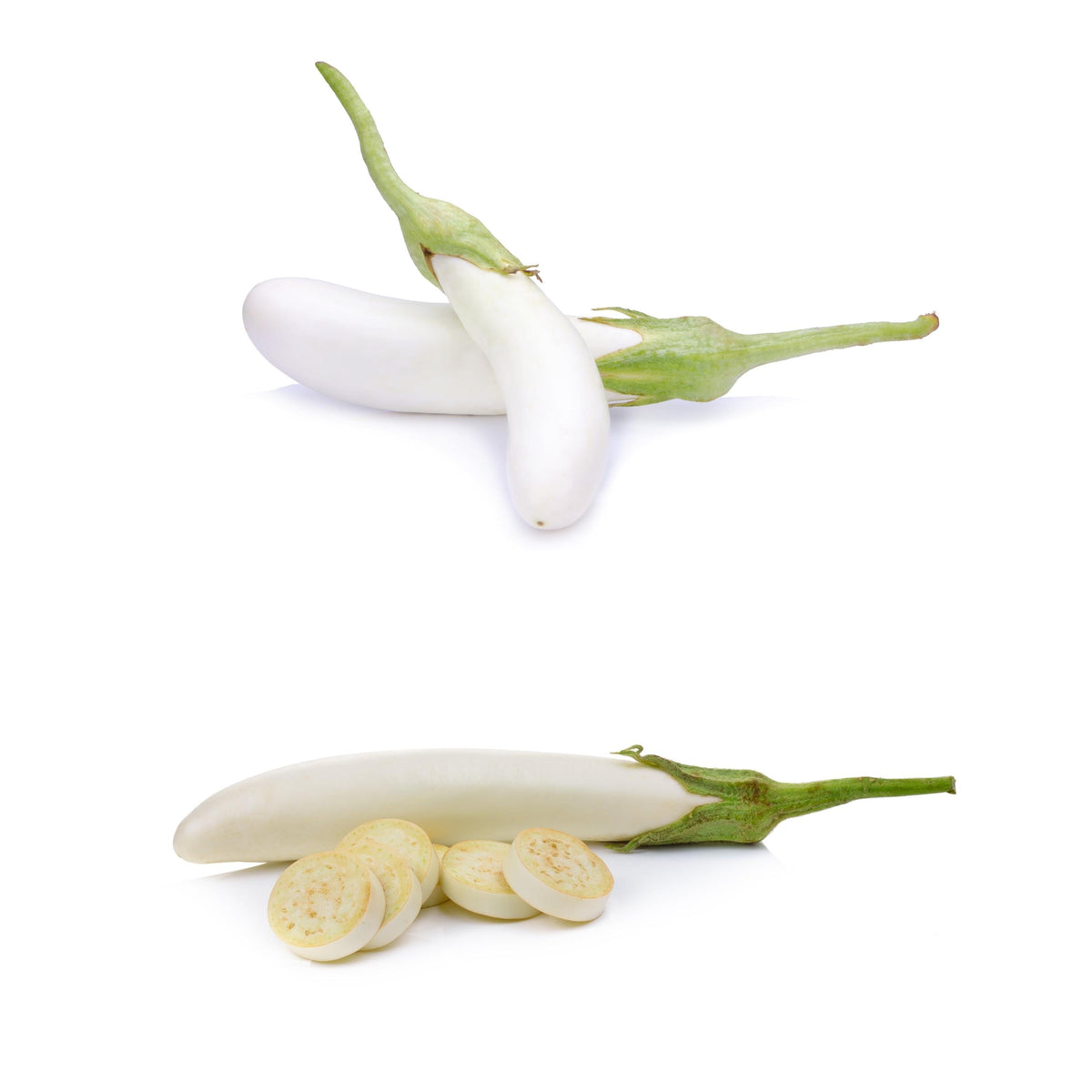 White Comet Eggplant seeds