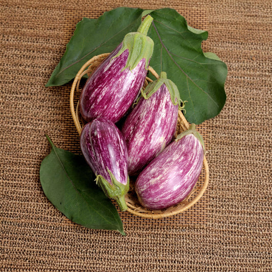 Graffiti Eggplant seeds