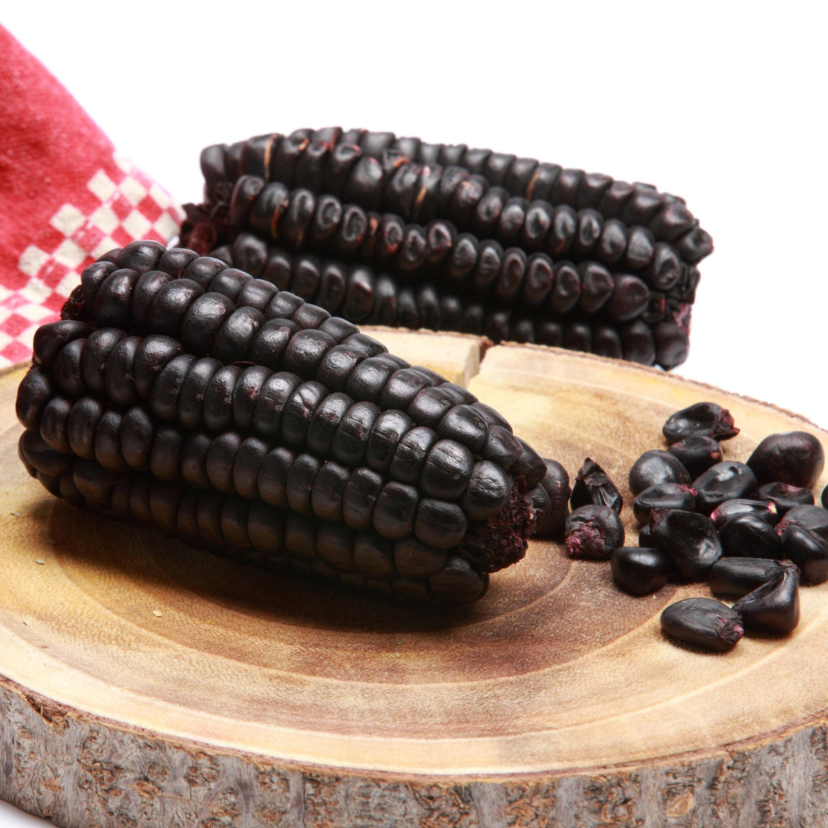 Flint Hopi Blue Corn seeds