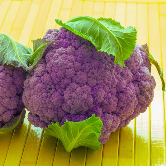 Violetta Italia Cauliflower seeds