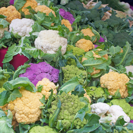 Rainbow Cauliflower seeds