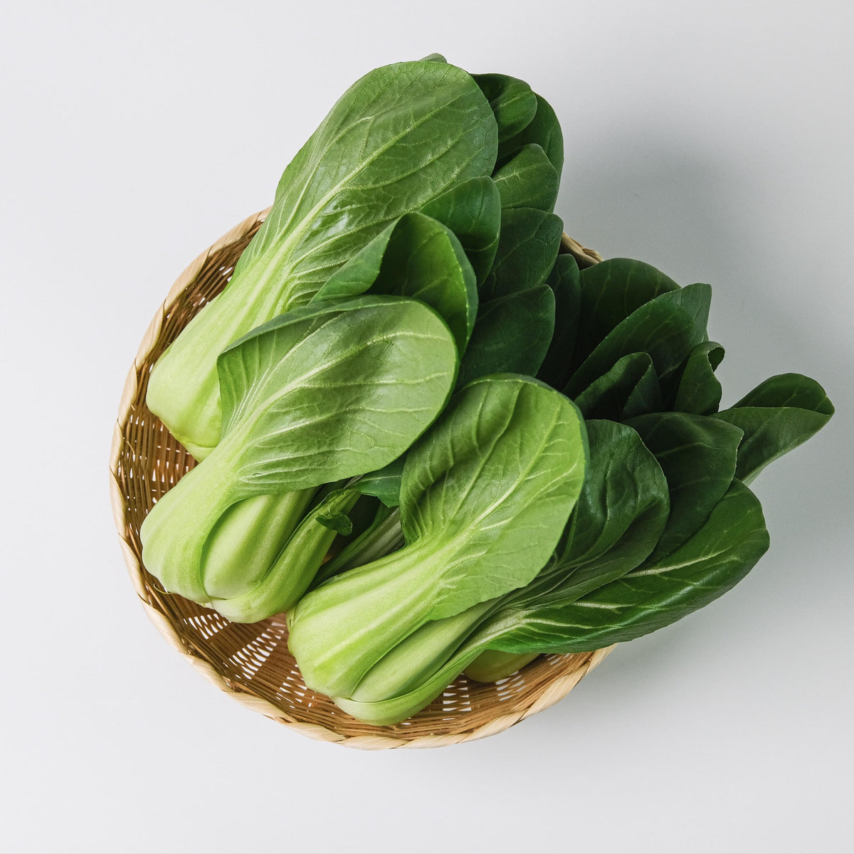 Oasis Shungiku seeds