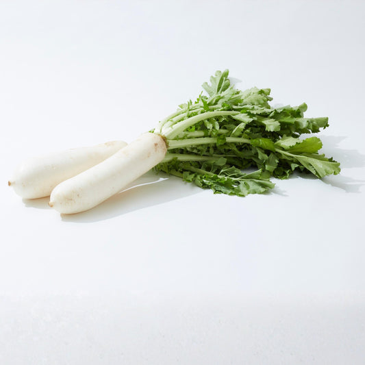 Daikon Minowase Radish seeds