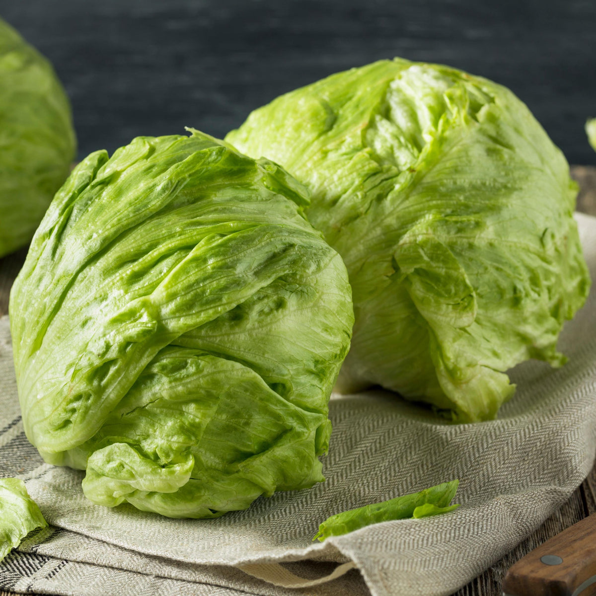 Crisphead Iceberg Lettuce seeds
