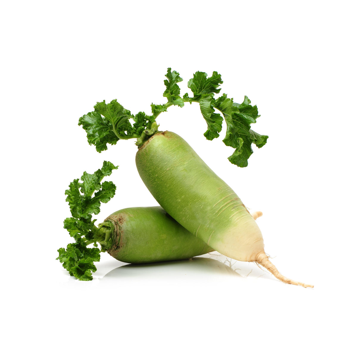 Chinese Green Luobo Radish seeds
