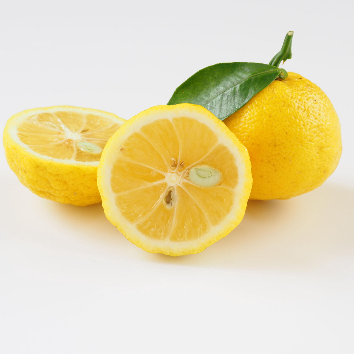 Yuzu Citrus seeds