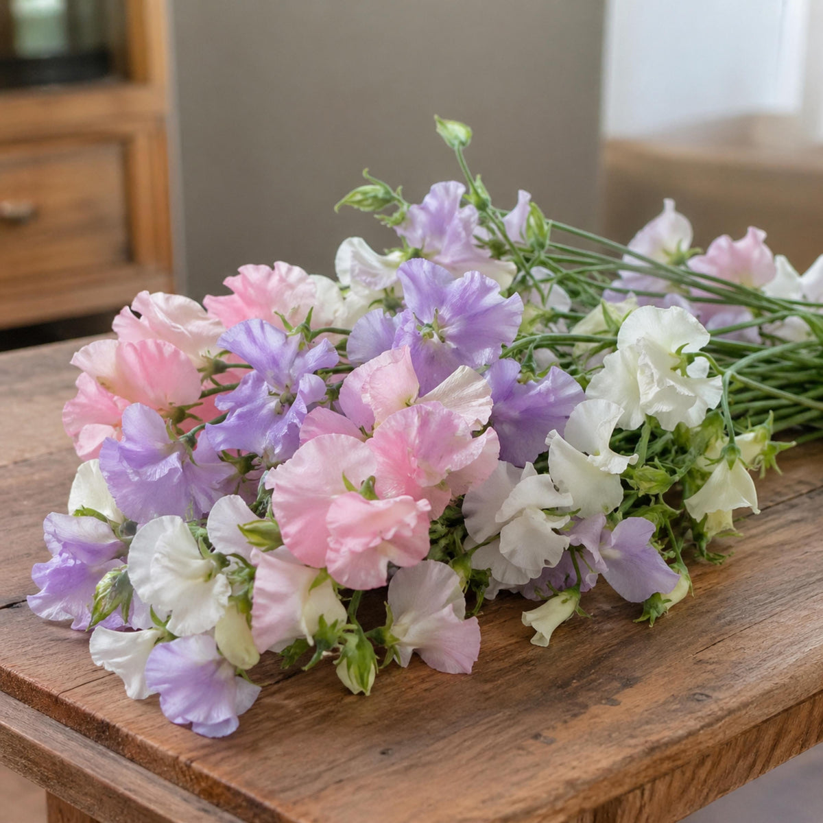 Pastel Sweet Pea seeds