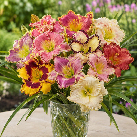 Ruffled Daylily Mix seeds
