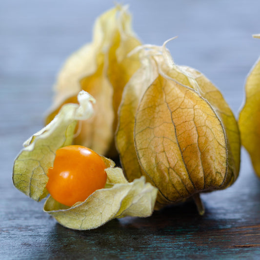 Cape Gooseberry seeds