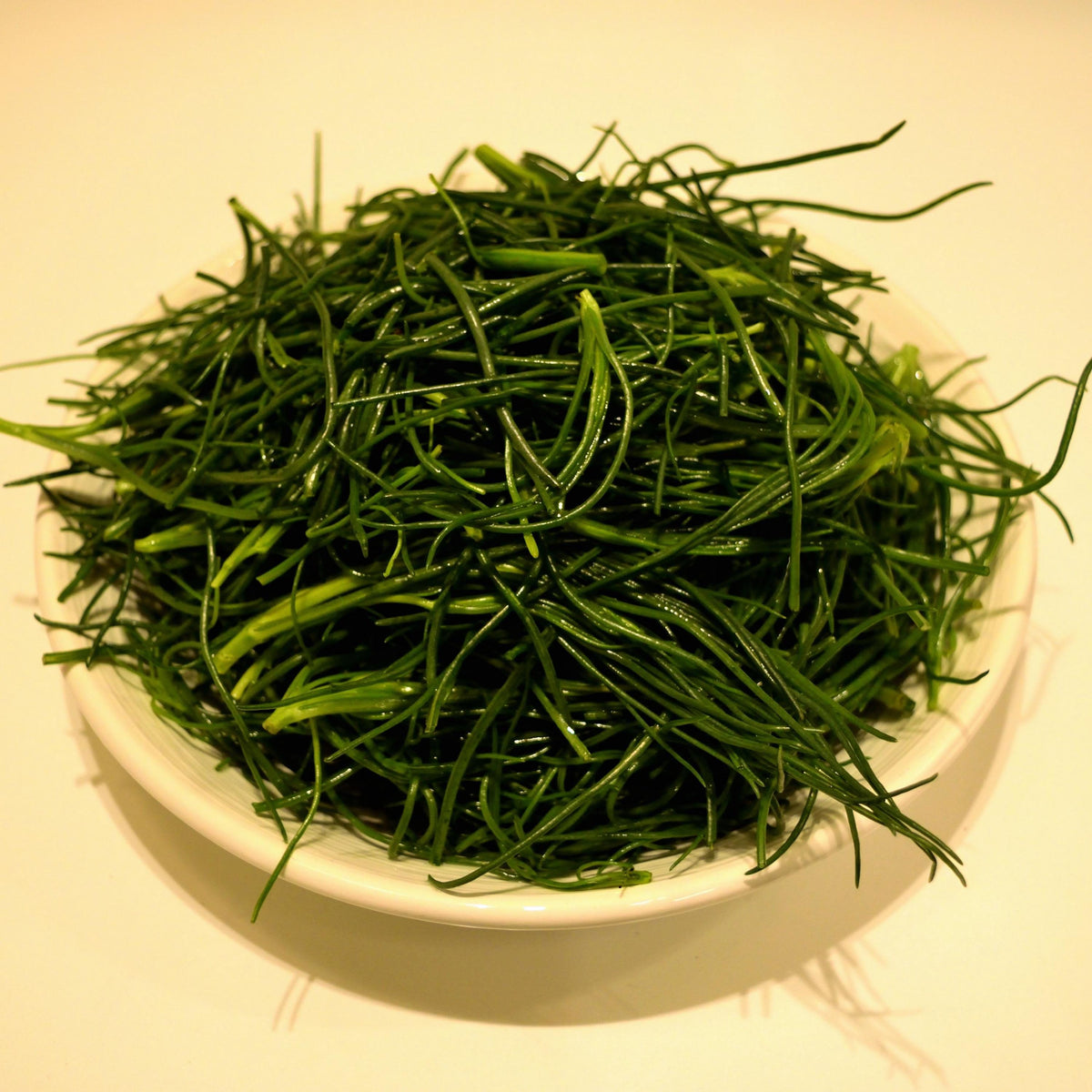 Saltwort seeds
