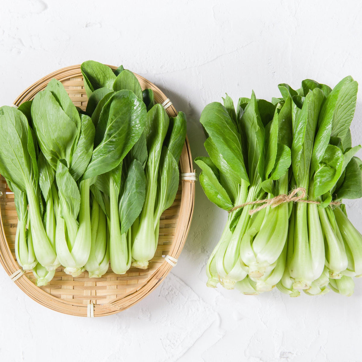 Tall White Stem Hybrid Pak Choi seeds