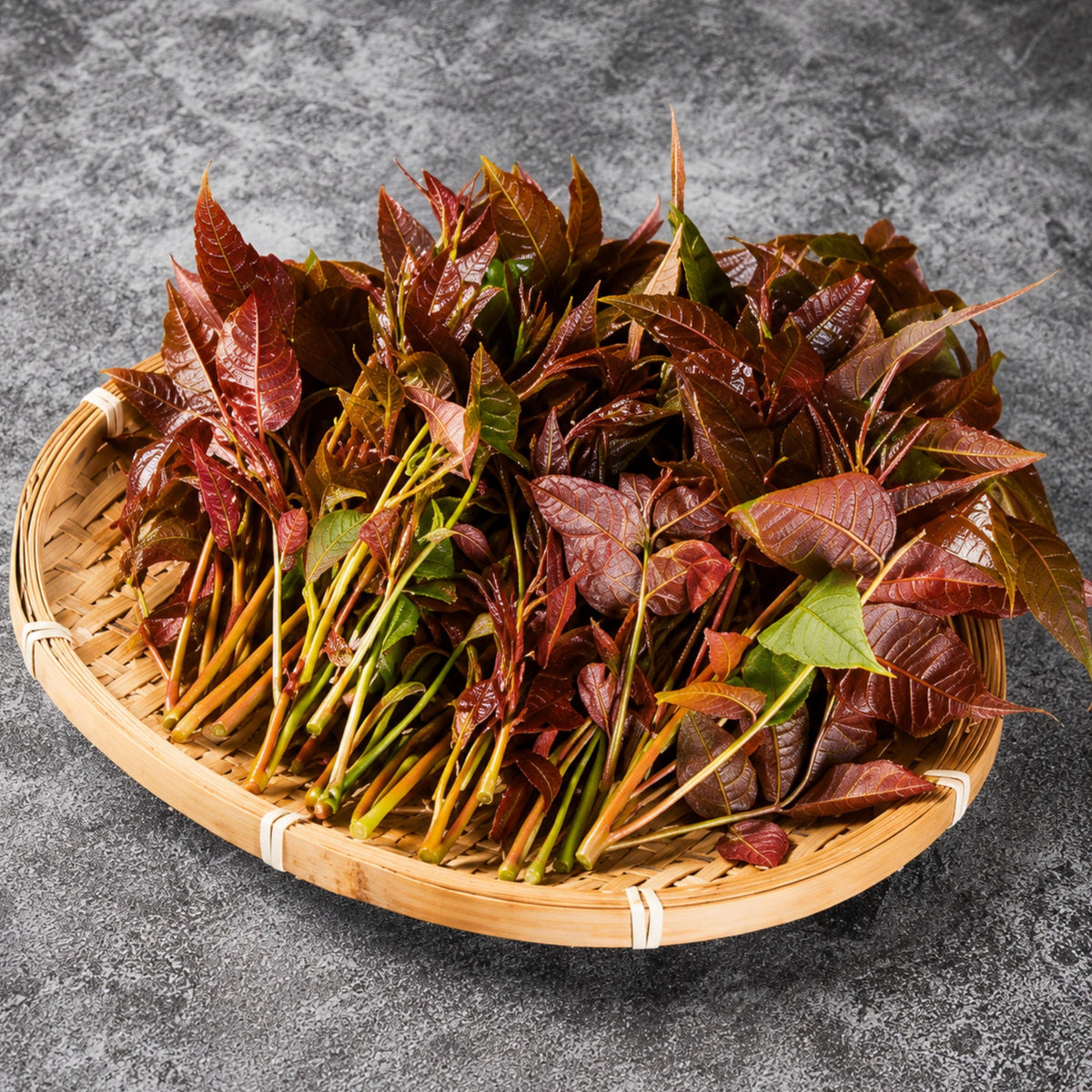 Chinese Toon North Red seeds