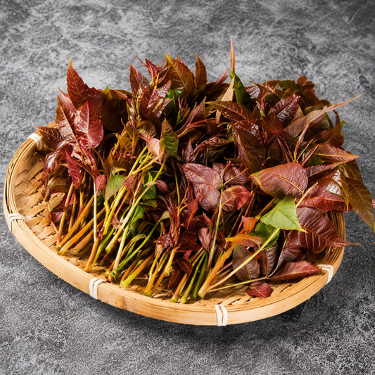 Chinese Toon North Red seeds