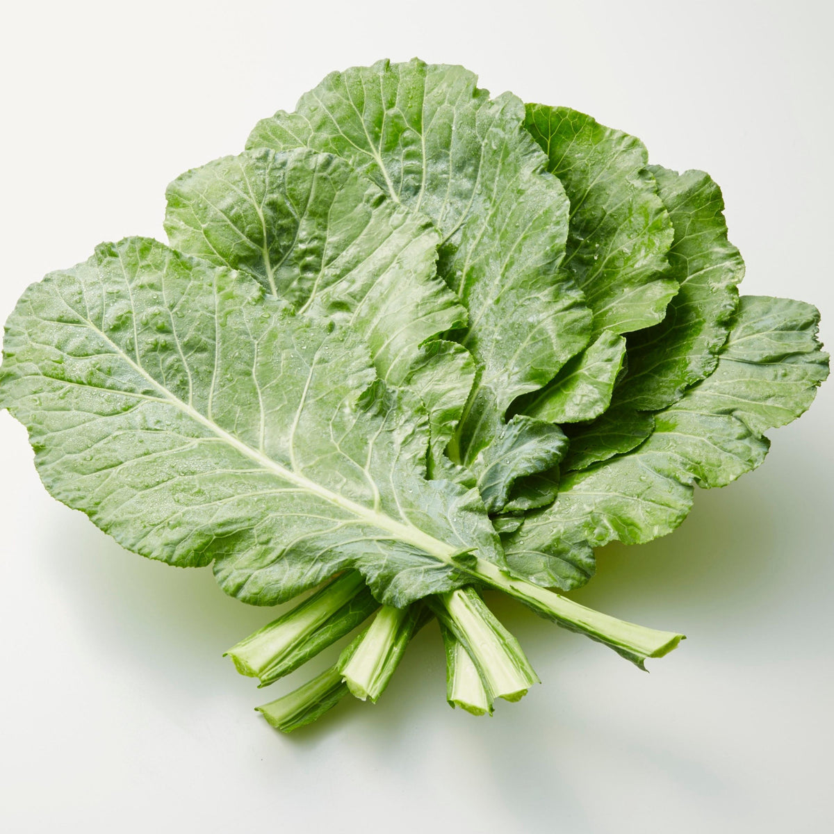 Georgia Southern Collard seeds