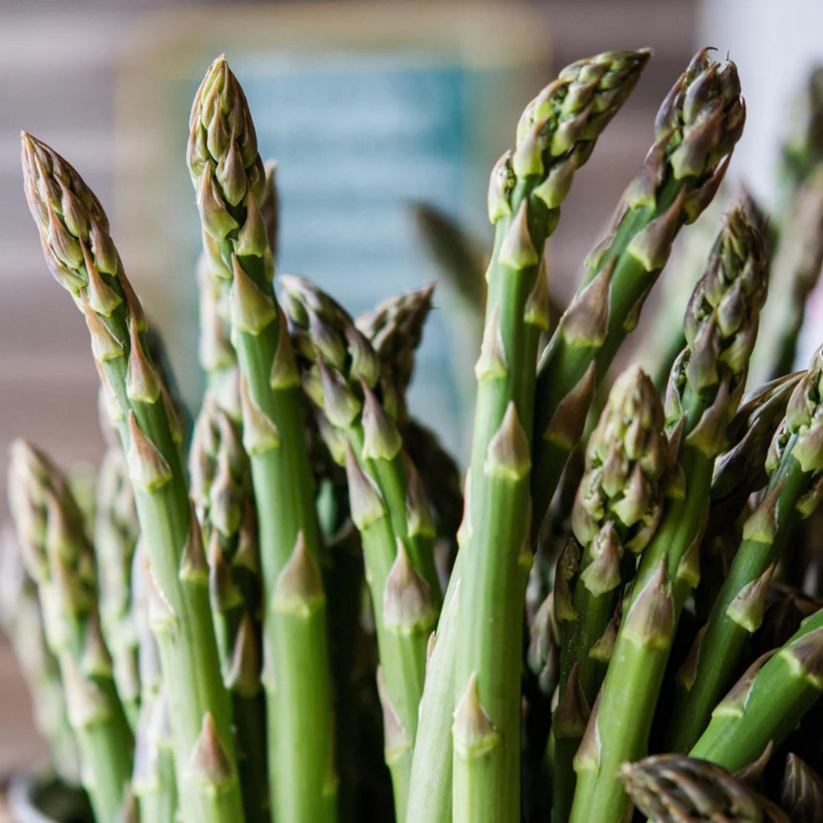 Mary Washington Asparagus seeds