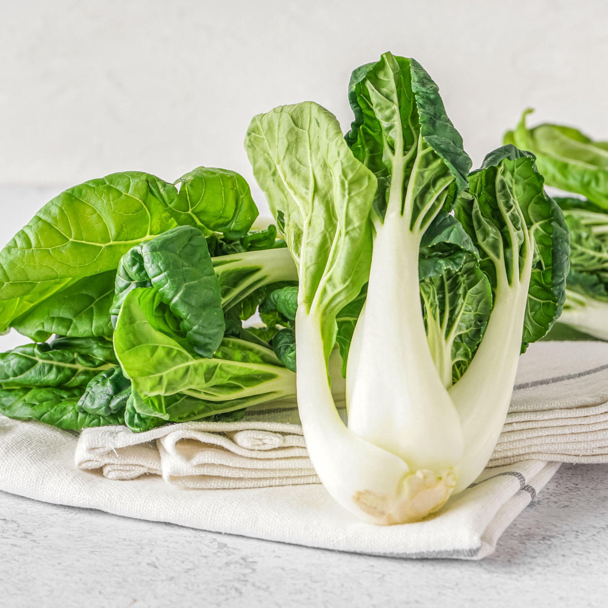 Pak Choi White Stem seeds