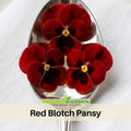 25+ Seeds| Red Blotch Pansy Seeds - Cold Resistant -Open-Pollinating - Self-Pollinating - Draft Resistant - Plant in Summer/Spring #206