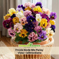 25+ Seeds| Frizzle Sizzle Mix Pansy Viola × wittrockiana Seeds - Cold Resistant - Draft Resistant - Plant in late Spring #221