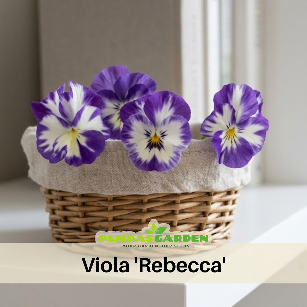 Viola 'Rebecca' Seeds - Cold Resistant, Drought Resistant, 25+ seeds