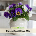 25+ Seeds| Pansy Cool Wave Mix Seeds - Cold Resistant - Draft Resistant - Self-Pollinating - Plant in late Spring/early Summer #234