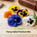 25+ Seeds| Pansy Delta Premium Mix Seeds - Cold Resistant - Self-Pollinating - Draft Resistant - Plant in late Summer/ early Spring #235