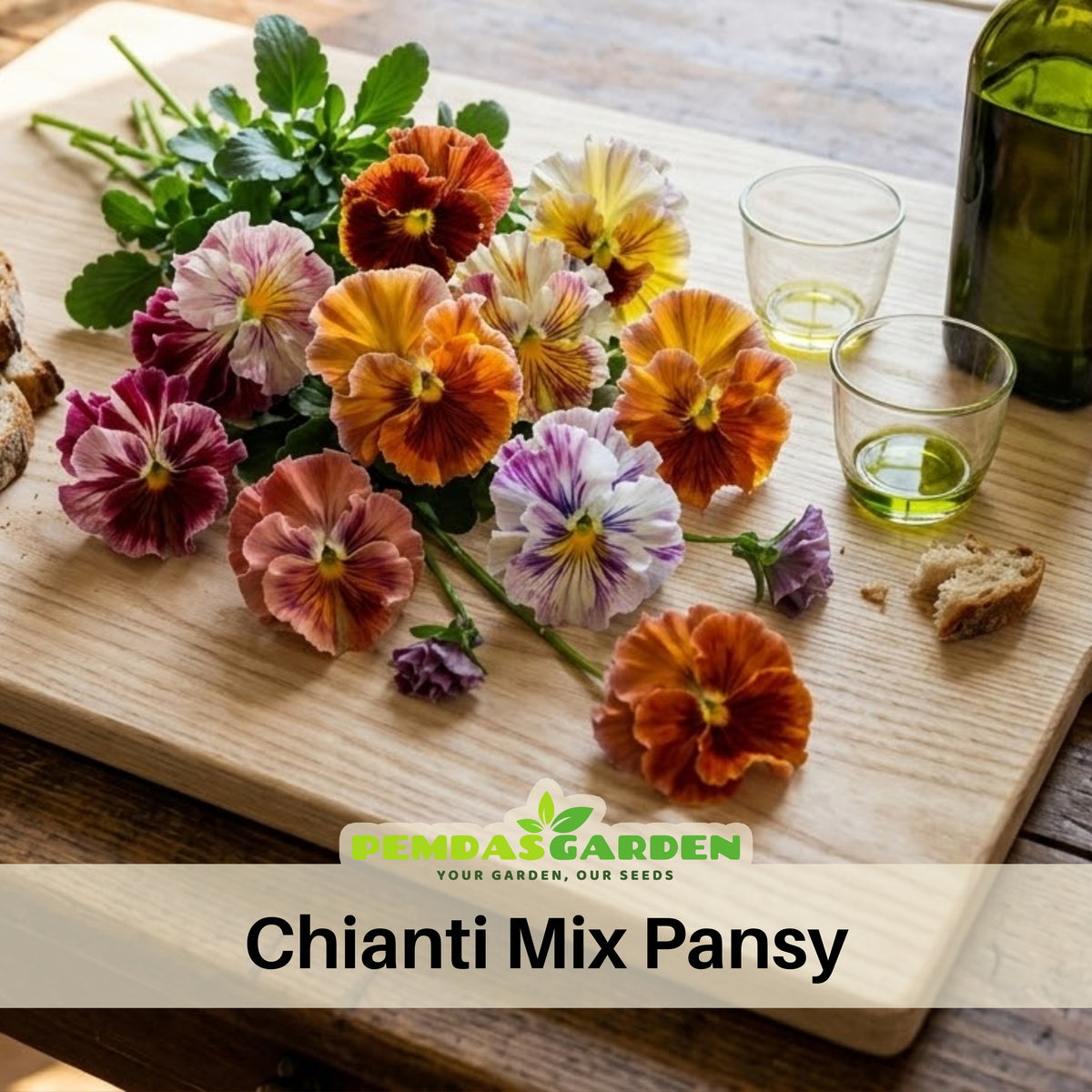Chianti Mix Pansy Seeds - Cold Resistant, Drought Resistant, 25+ seeds