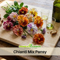 25+ Seeds| Chianti Mix Pansy Seeds - Cold Resistant - Draft Resistant - Open-Pollinating- Self-Pollinating - Plant in late Spring/Spring#236