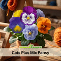 25+ Seeds| Cats Plus Mix Pansy Seeds - Cold Resistant - Draft Resistant -Open-Pollinating- Self-Pollinating -Plant in late Summer/Spring#238