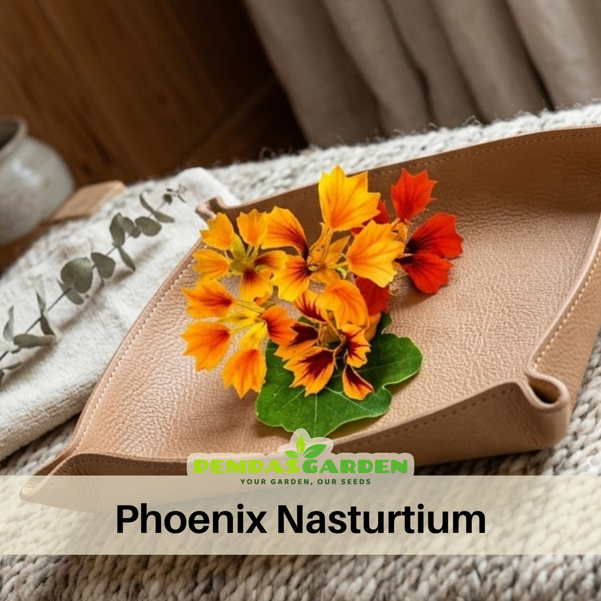 Phoenix Nasturtium Seeds - Drought Resistant, Dwarf, 10+ seeds